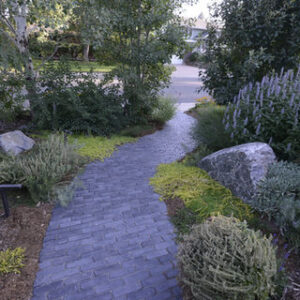 Paver walkway