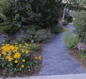 Paver path