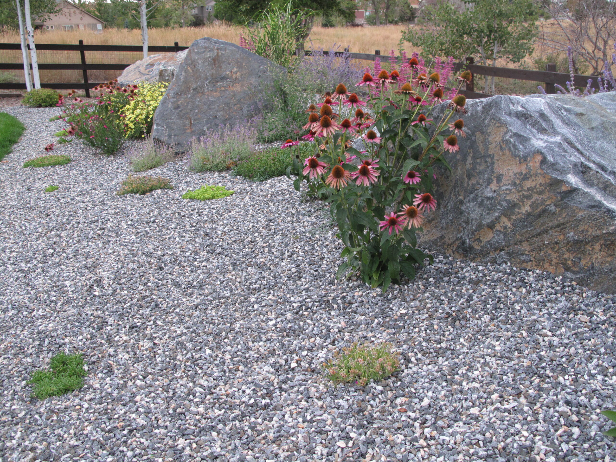 Boulders with ⅜" granite and perennials