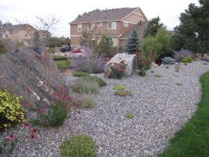 Sod and boulders with planting and sod