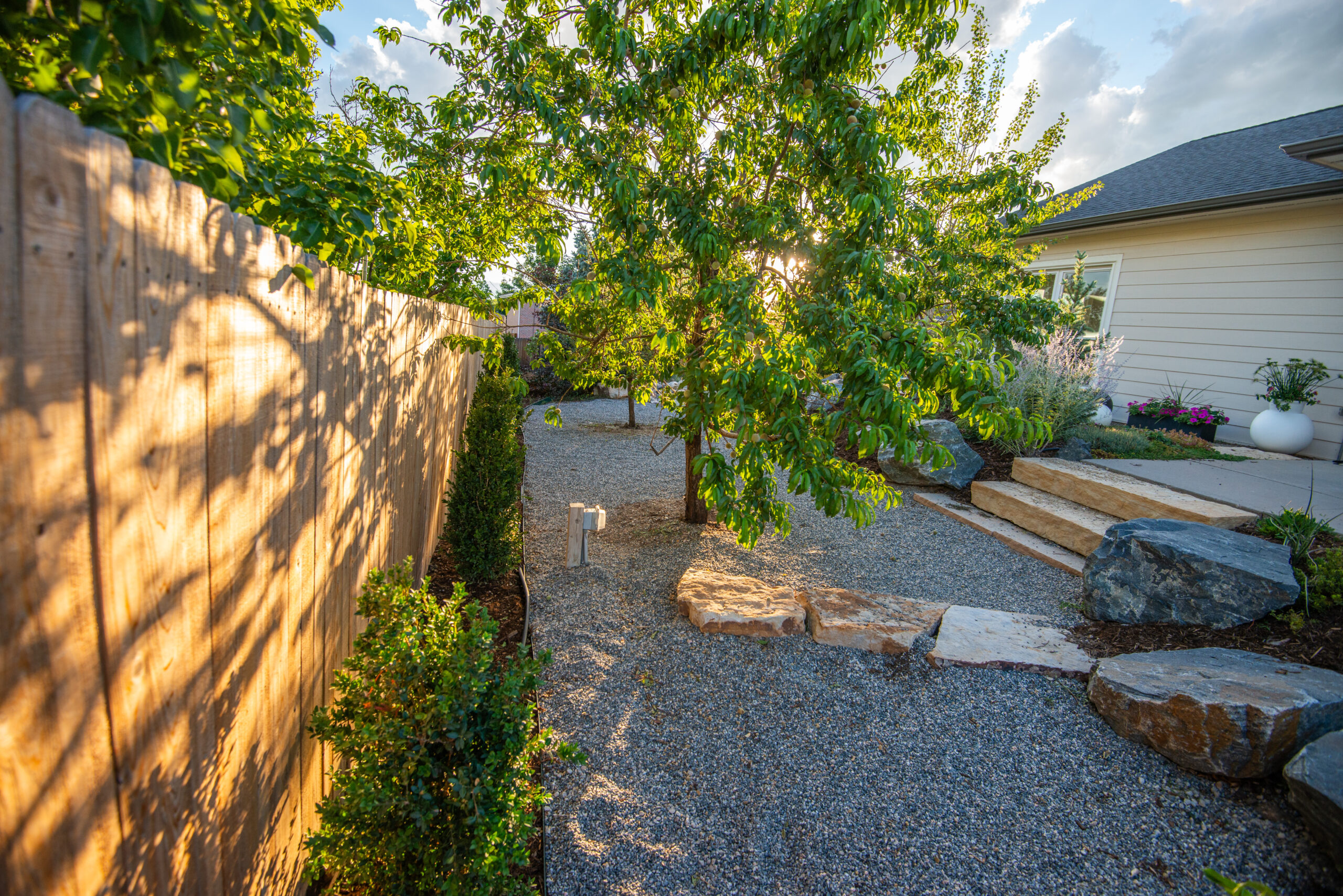 Wood cedar fence and fruit trees