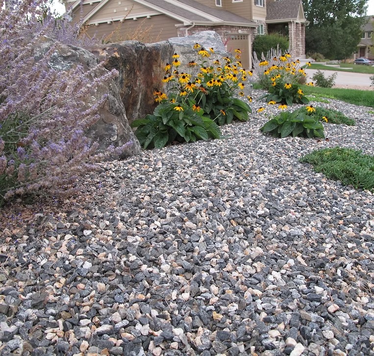 Gravel with plants