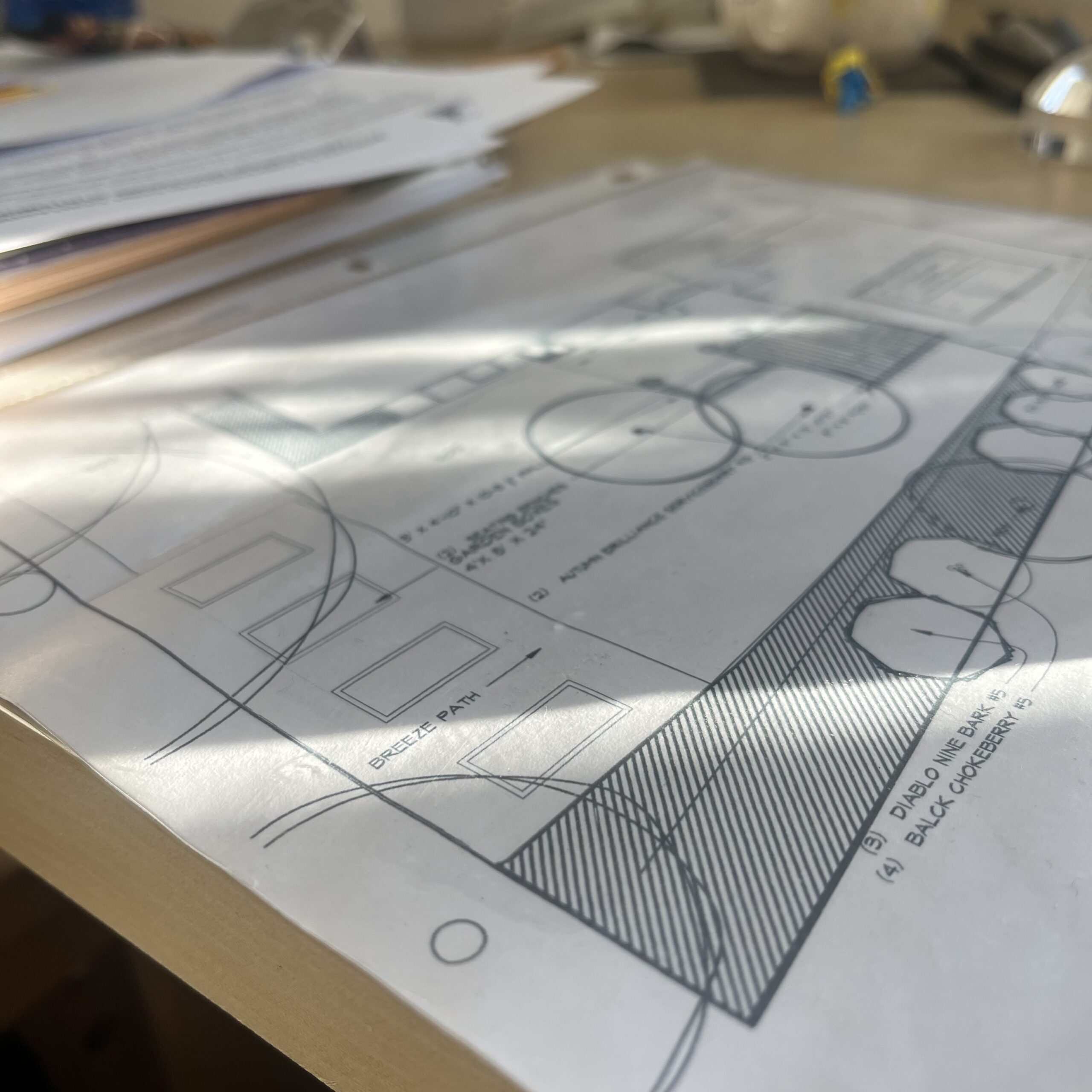 Turf and paver walkway design plan for an Arvada, Colorado home