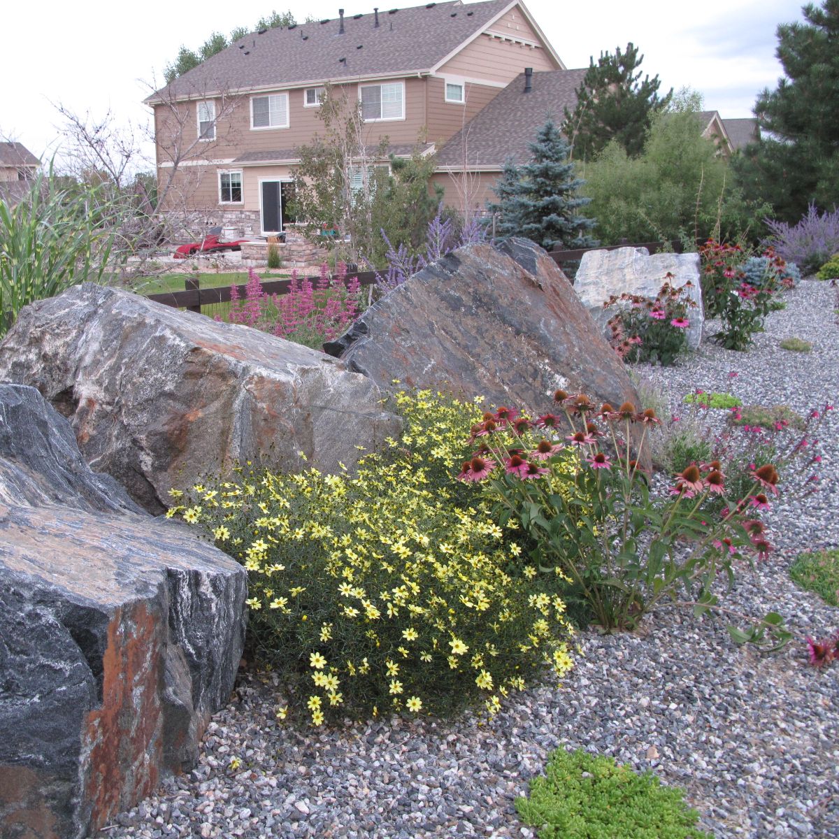 Lakewood Boulder & Native Plant Design