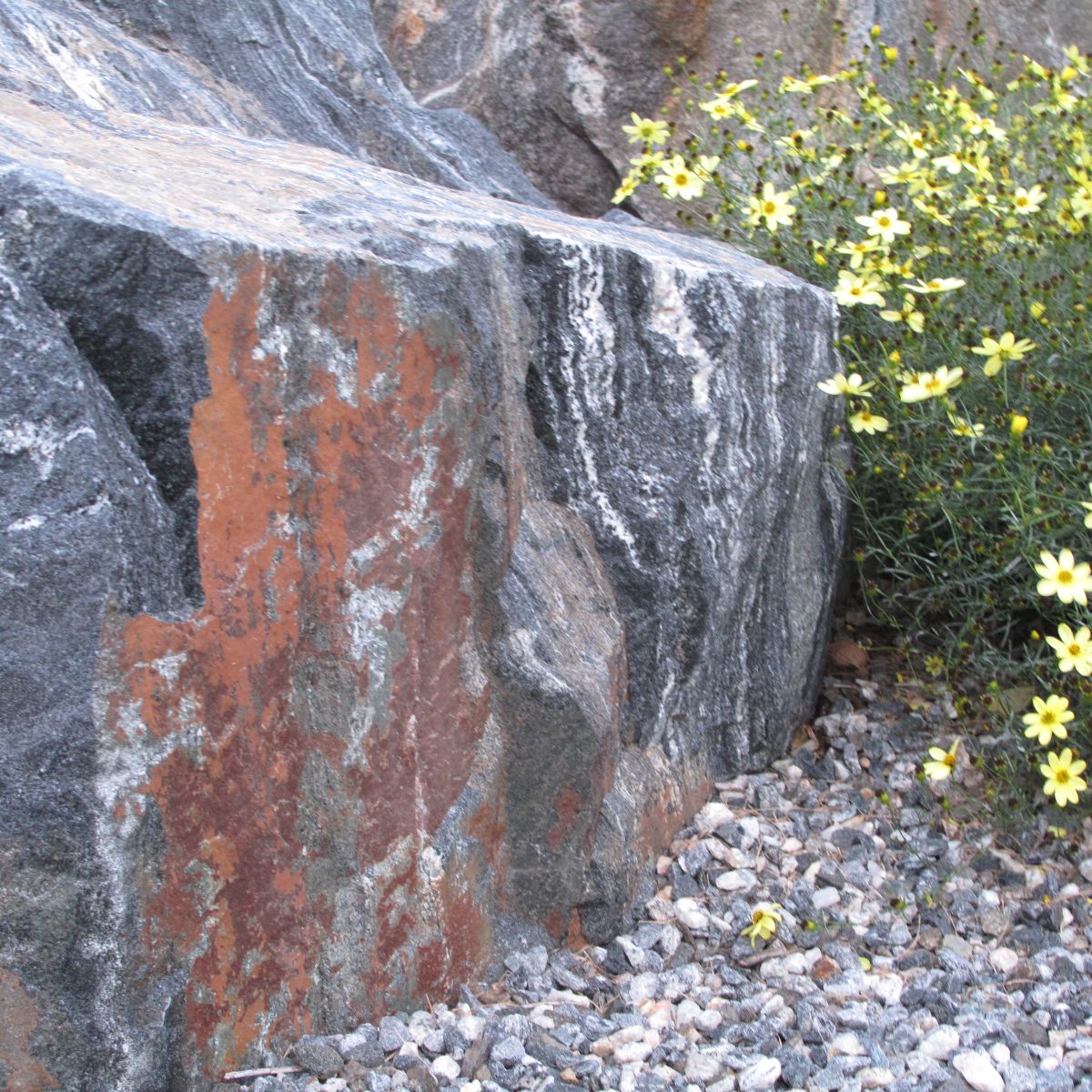 Lafayette Boulder & Native Plant Design