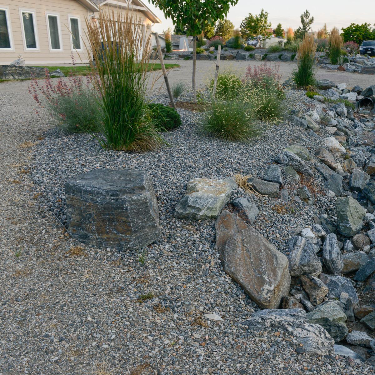 Sod, Boulders and Native Beds in Arvada Colorado