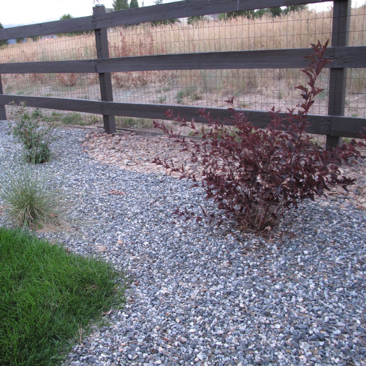 Habitat & Fence · Arvada, CO