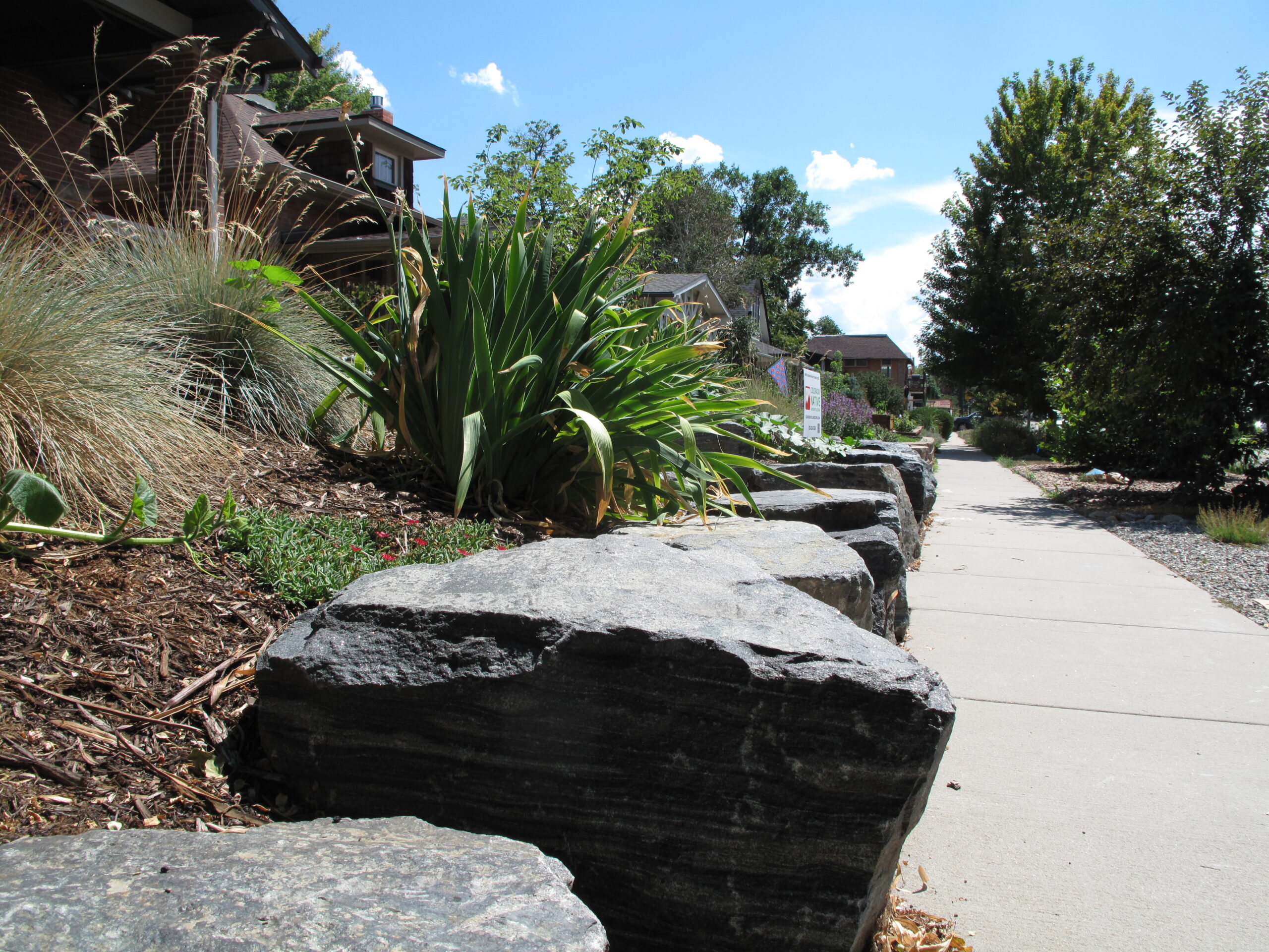 Irrigation Systems & Irrigation Assessments