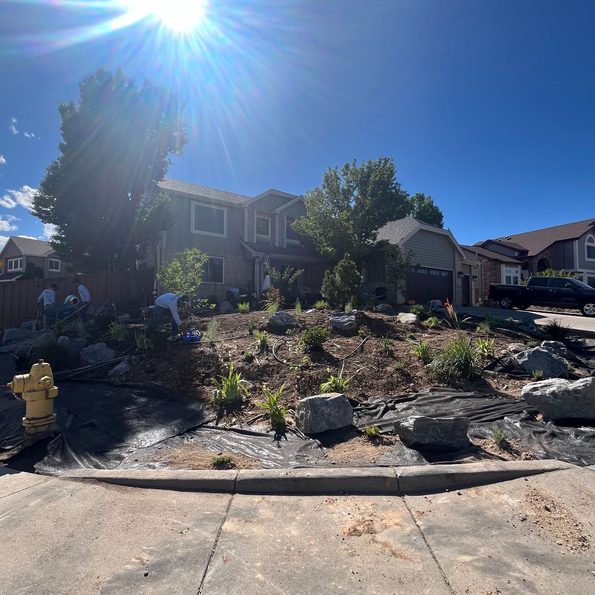 Littleton xeriscape installation