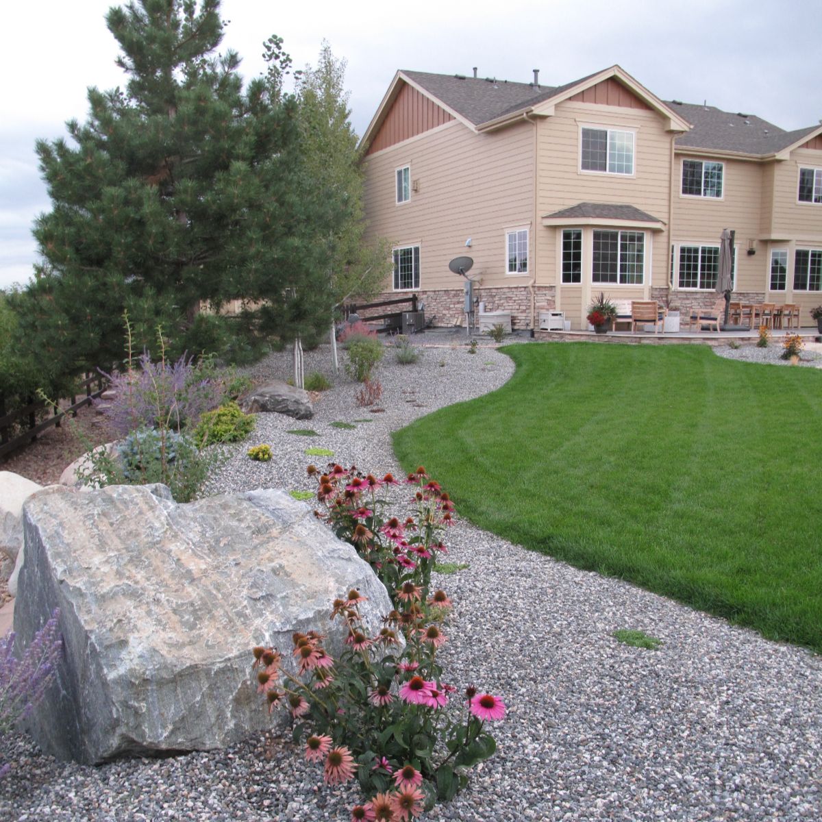 Colorado native plant landscape lush planting