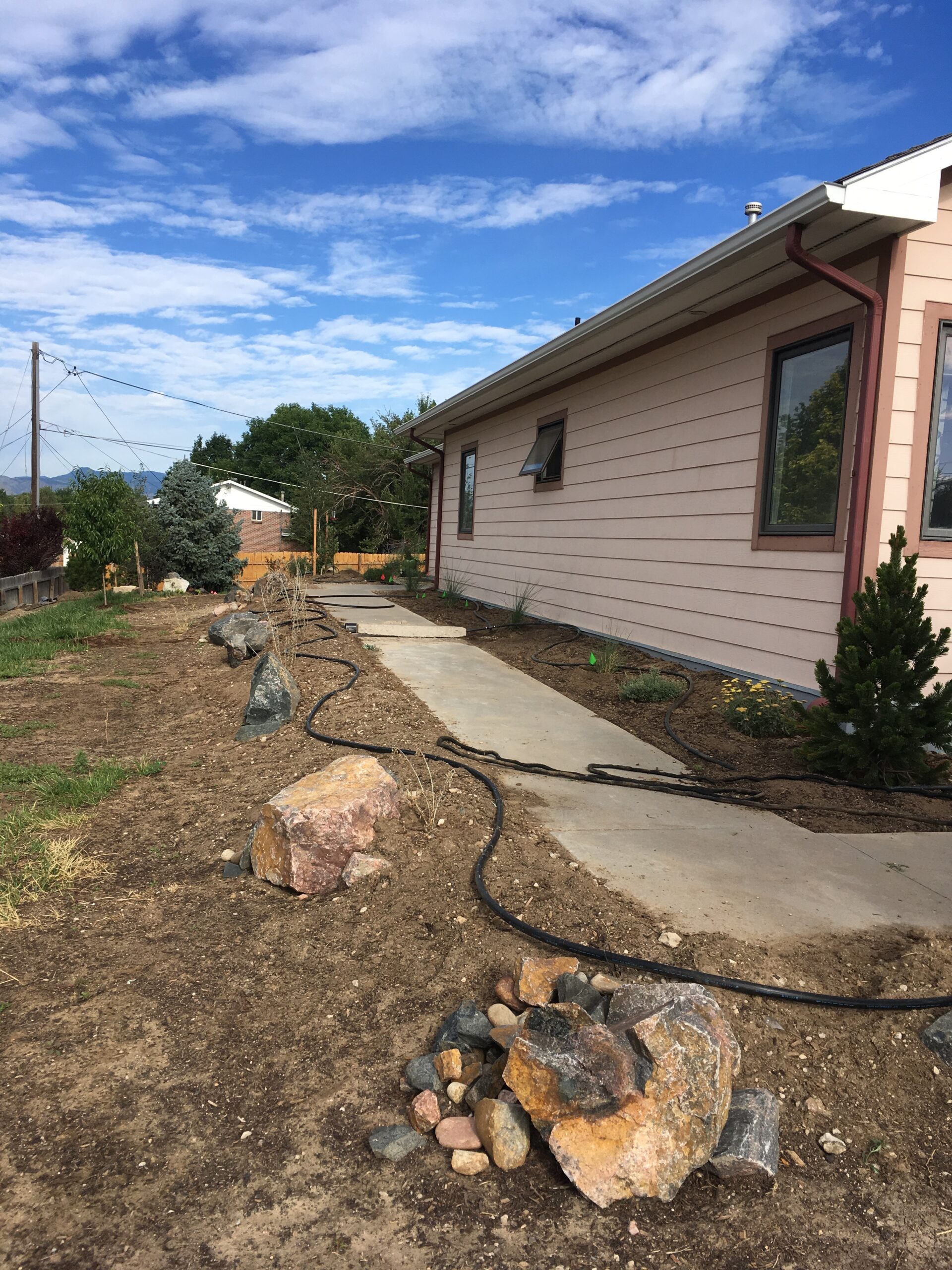 Arvada drought tolerant installation