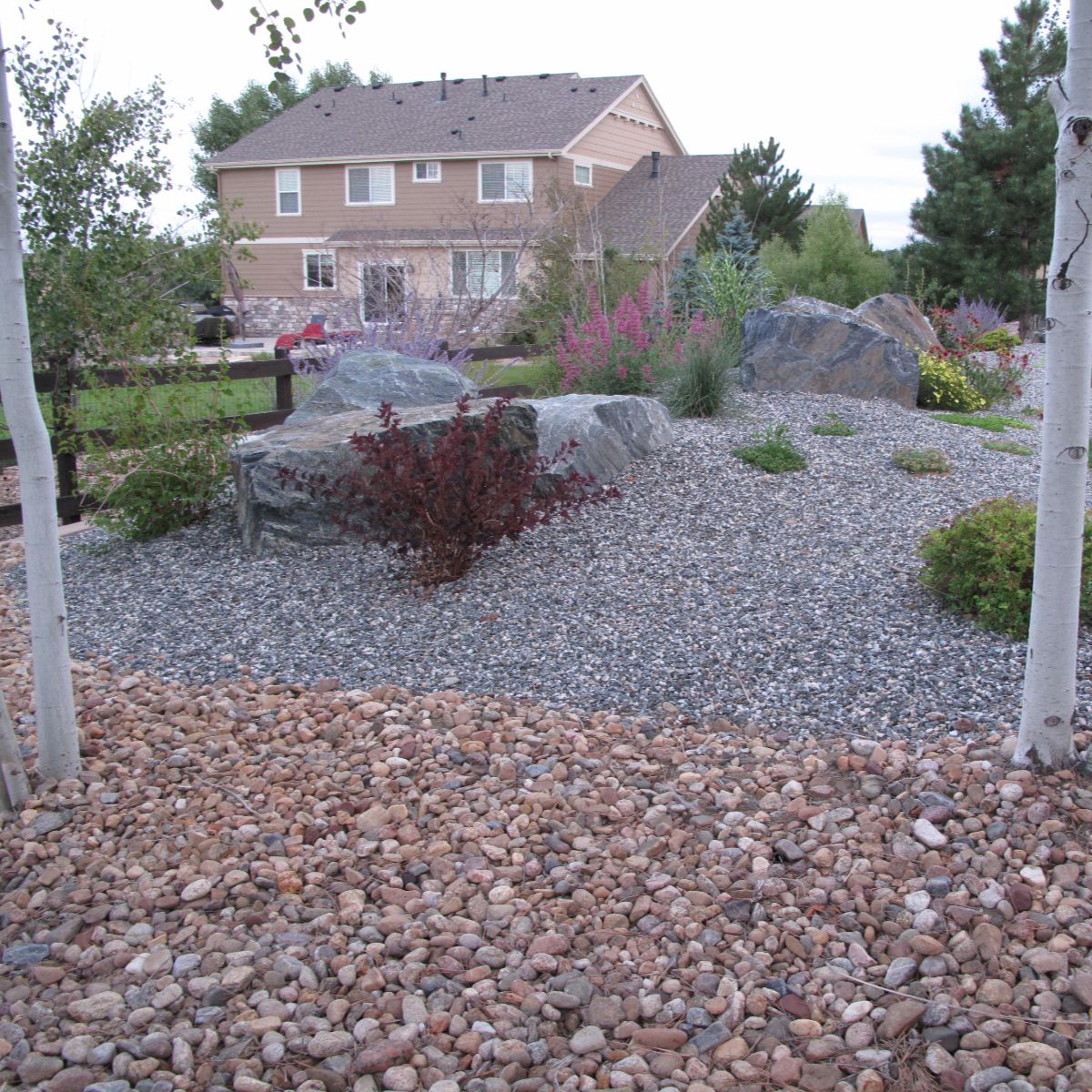 Drought-tolerant planting design