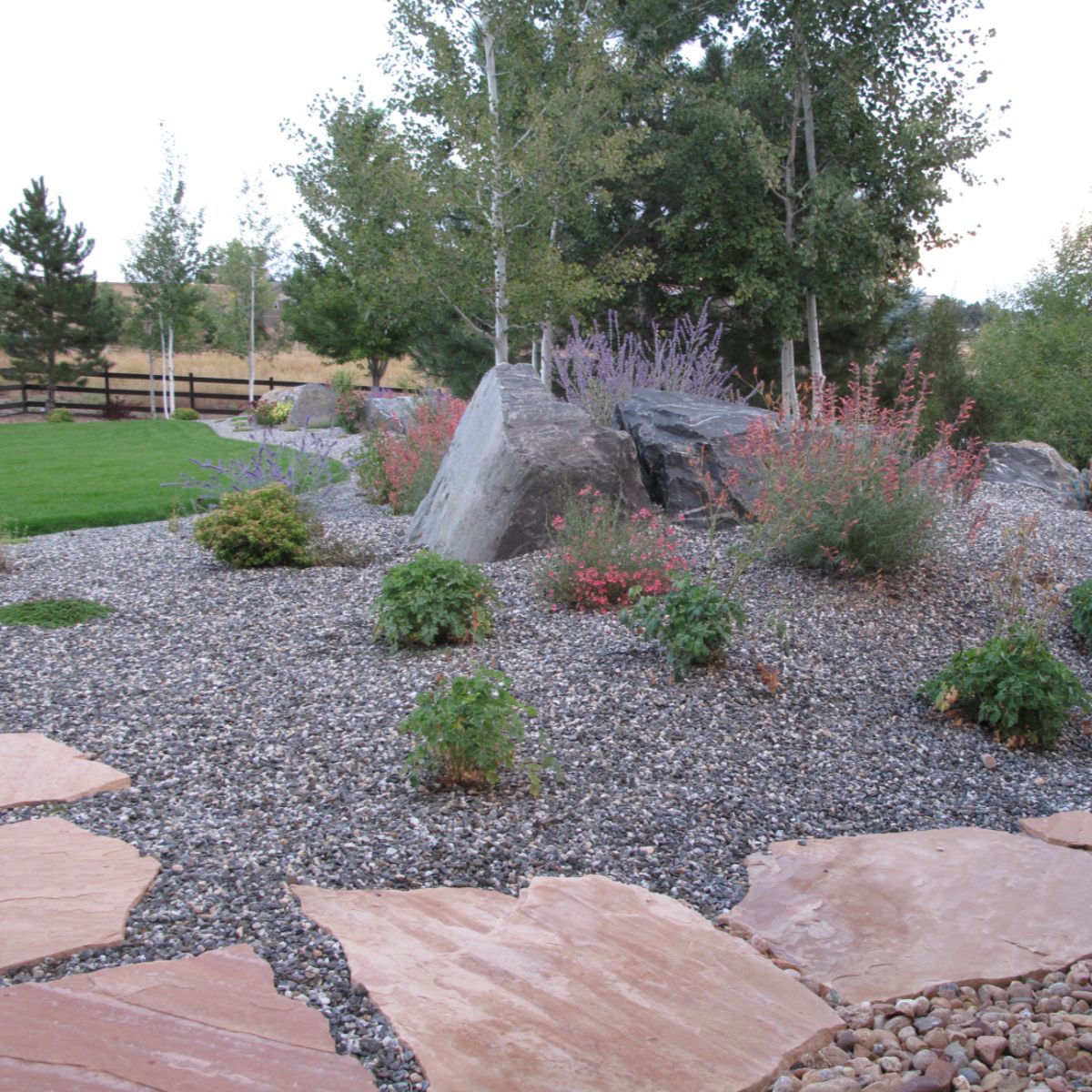 Landscape design with native planting beds — Front Range, Colorado