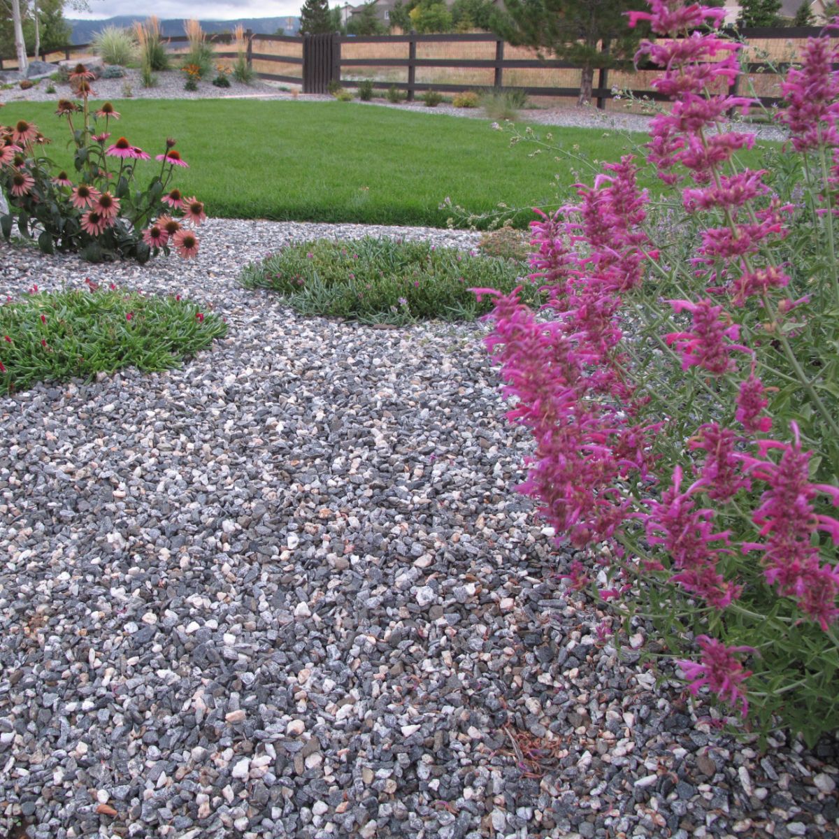 Colorado Native Landscapes premium project
