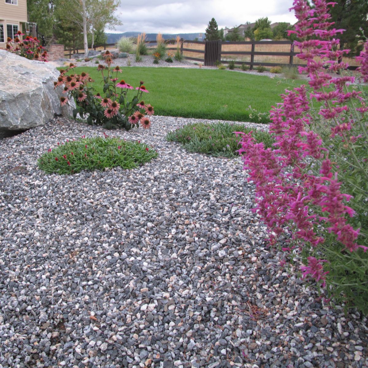 Colorado Native Landscapes project — planting bed with mountain views, Front Range