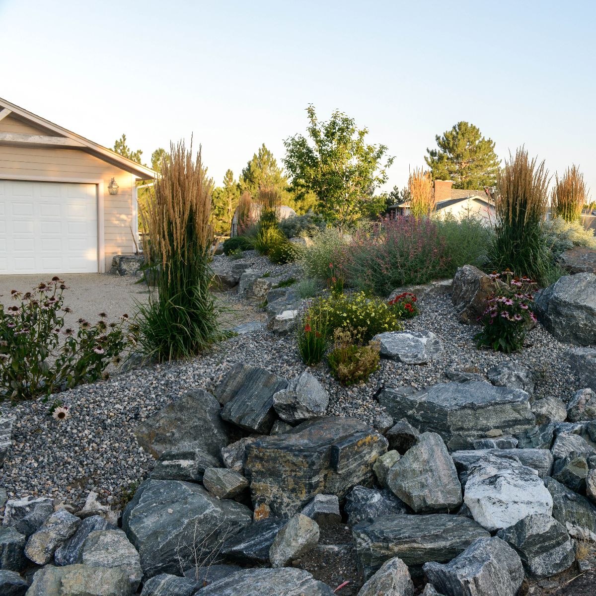 Finished landscape berm with plantings — Front Range, Colorado