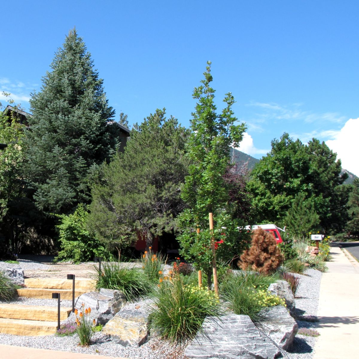 Natural stone steps — Boulder
