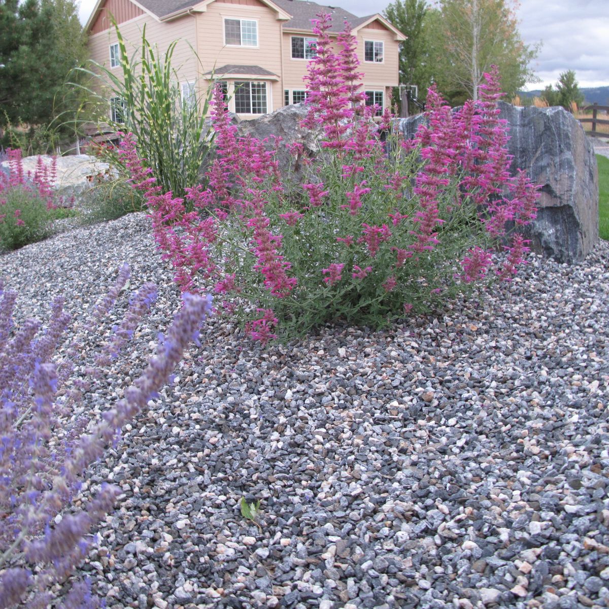 Granite Boulders and Perennials in Arvada Colorado