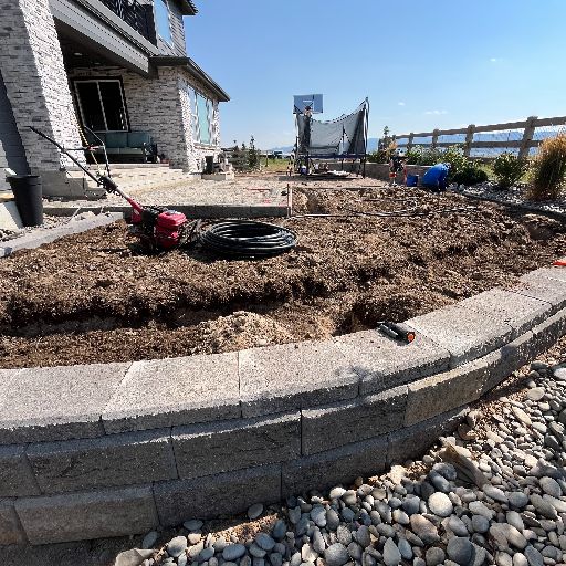 Sod irrigation during — Littleton