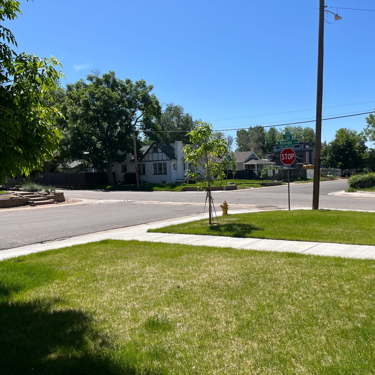 Front yard before custom fence installation in Denver CO