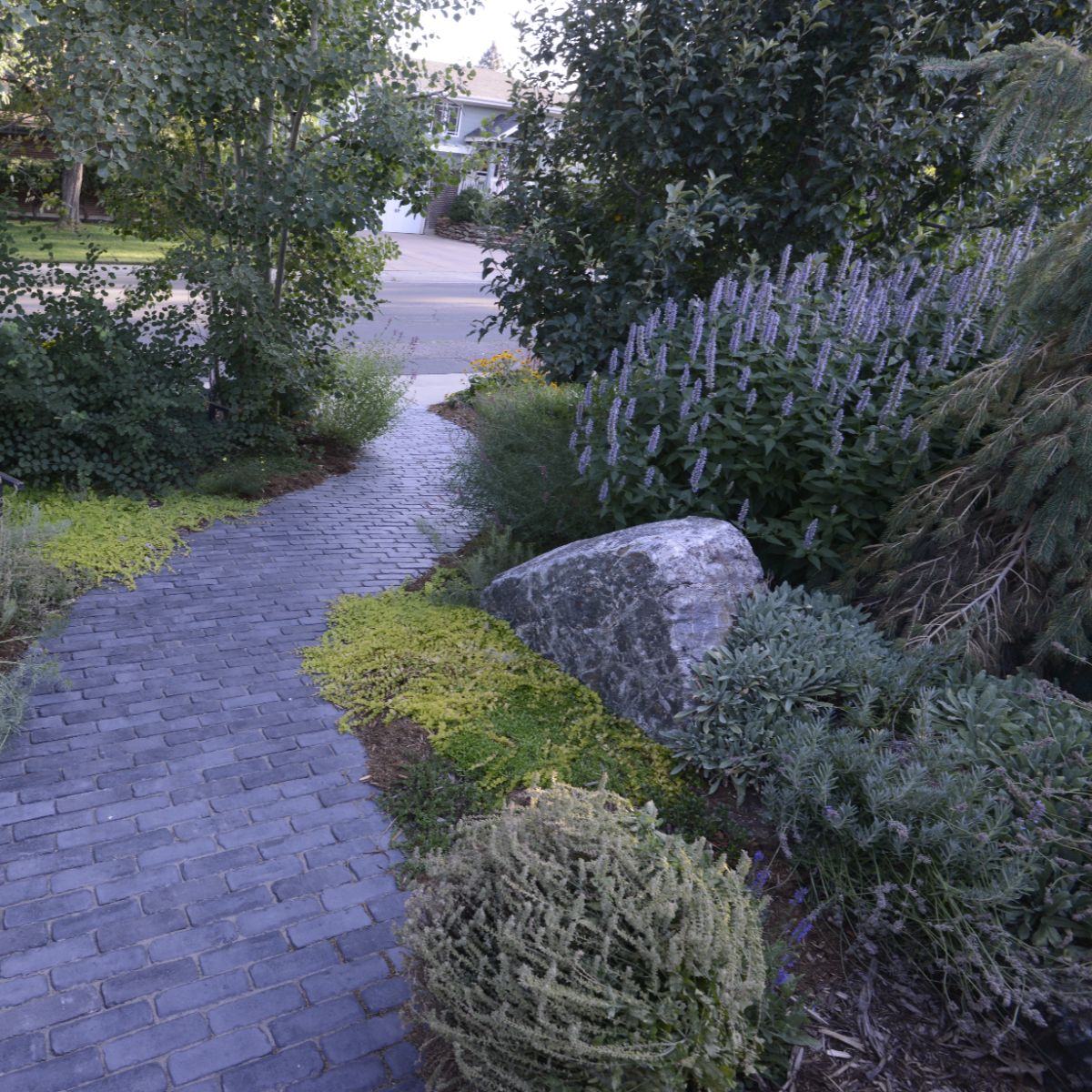 Night lighting walkway Arvada
