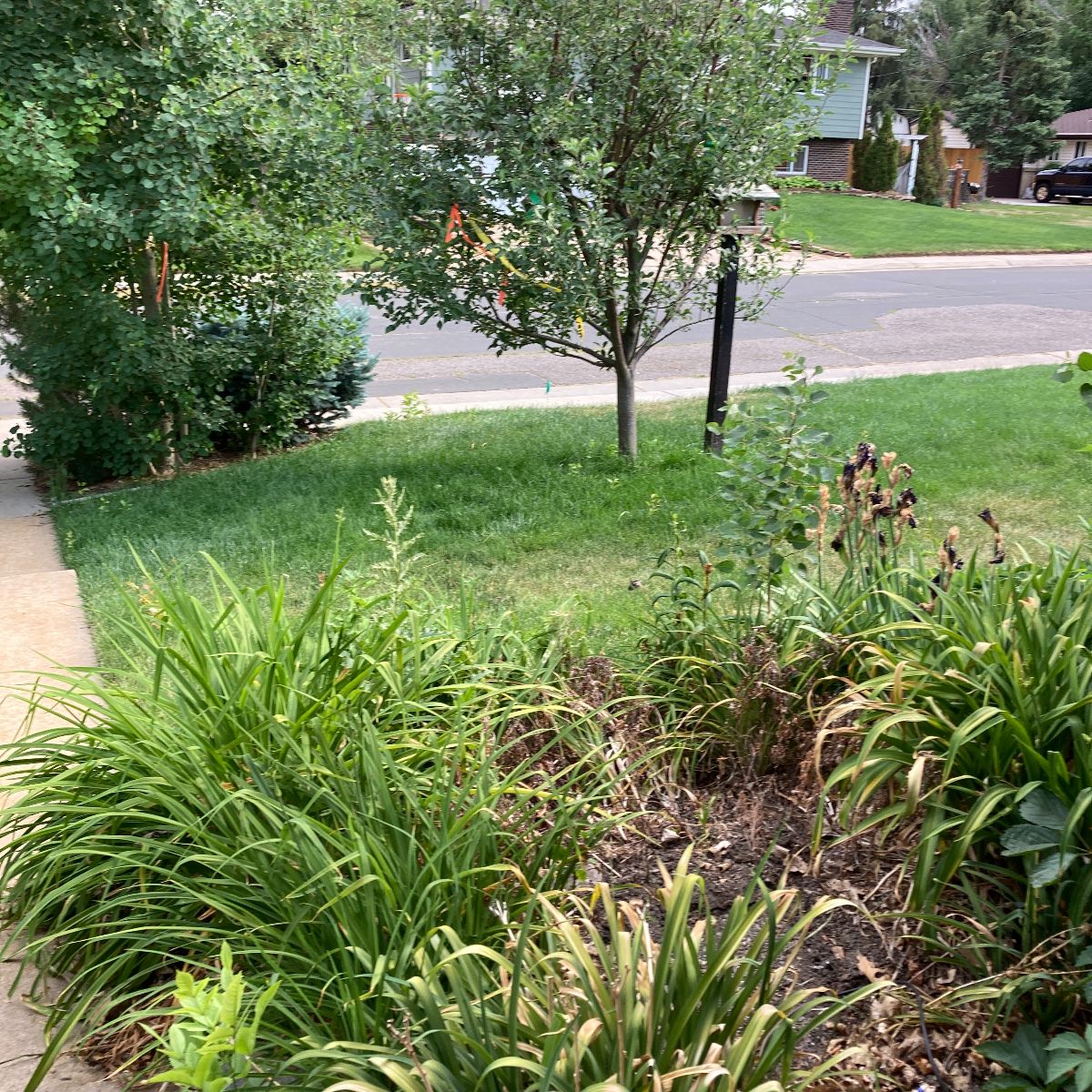 Front walkway before paver renovation in Arvada CO