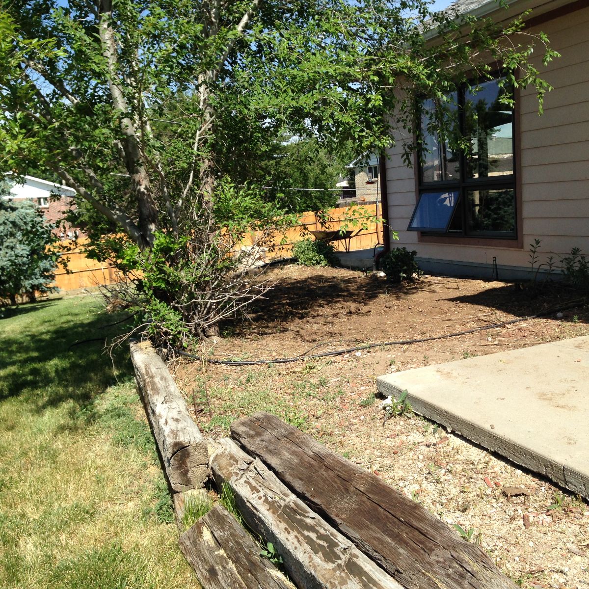 Sloped yard before stone steps and boulder gardens in Denver CO