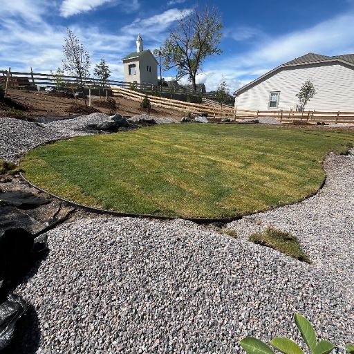 Bermuda grass lawn in Lakewood