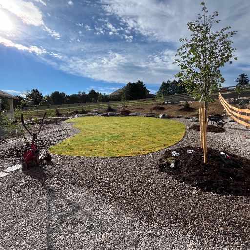 Bermuda grass sod lawn in Lakewood