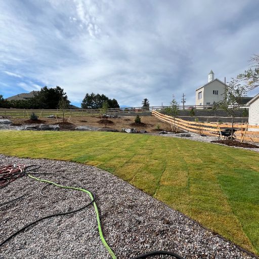 Bermuda grass sod lawn greening up in Lakewood