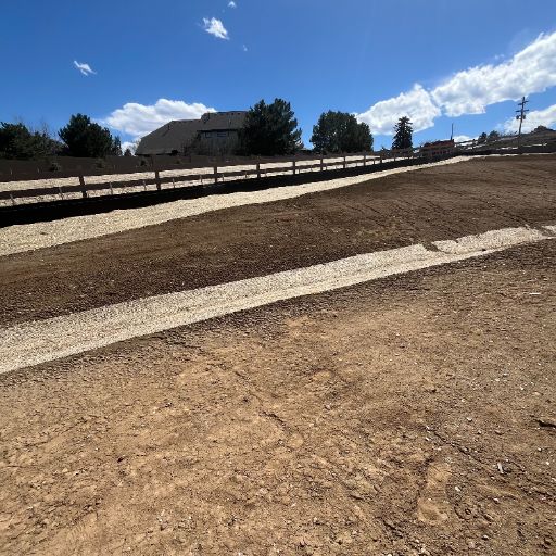 Lakewood, Colorado lawn before Tahoma 31 drought-tolerant sod installation