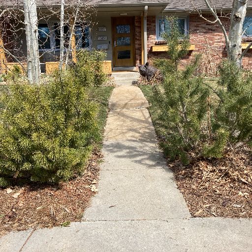 Cracked concrete front walkway before renovation in Arvada CO