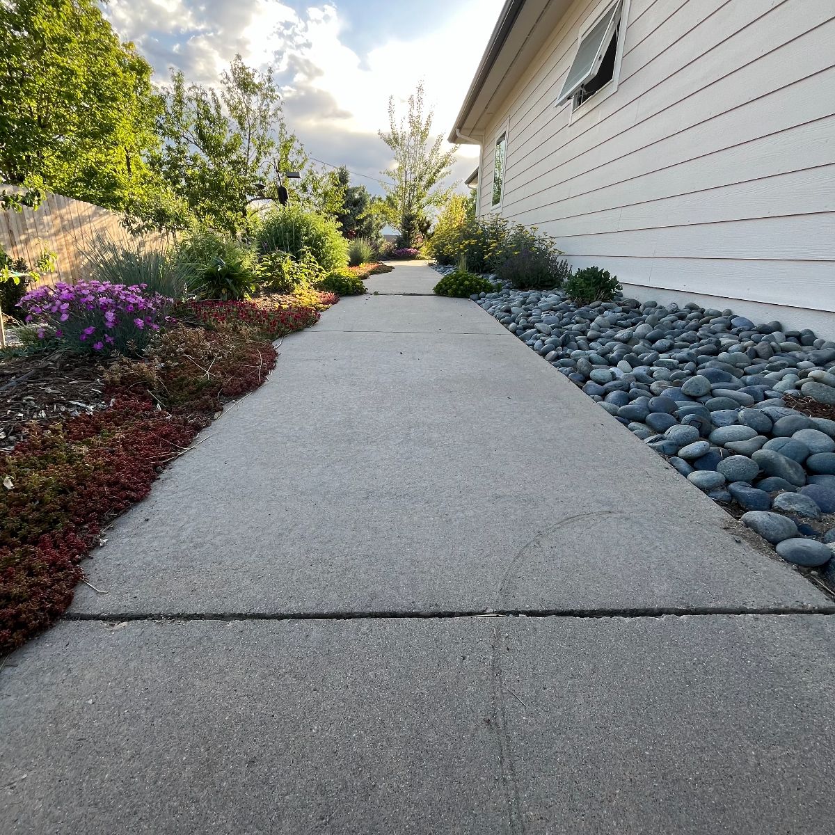 Xeriscape and Concrete in Littleton Colorado