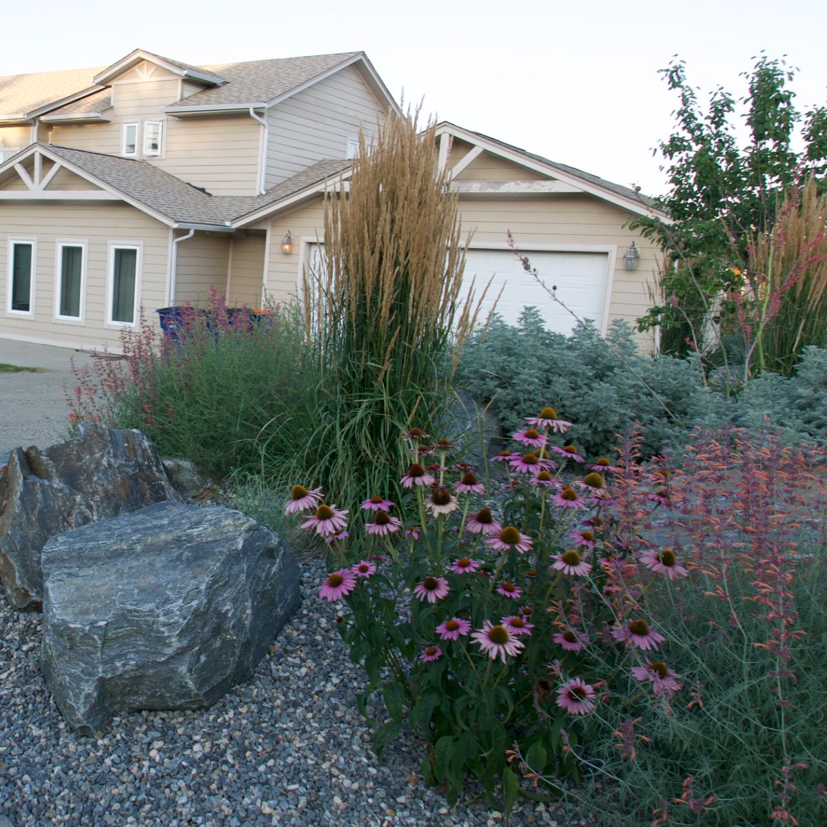 Xeriscape side yard — Arvada before