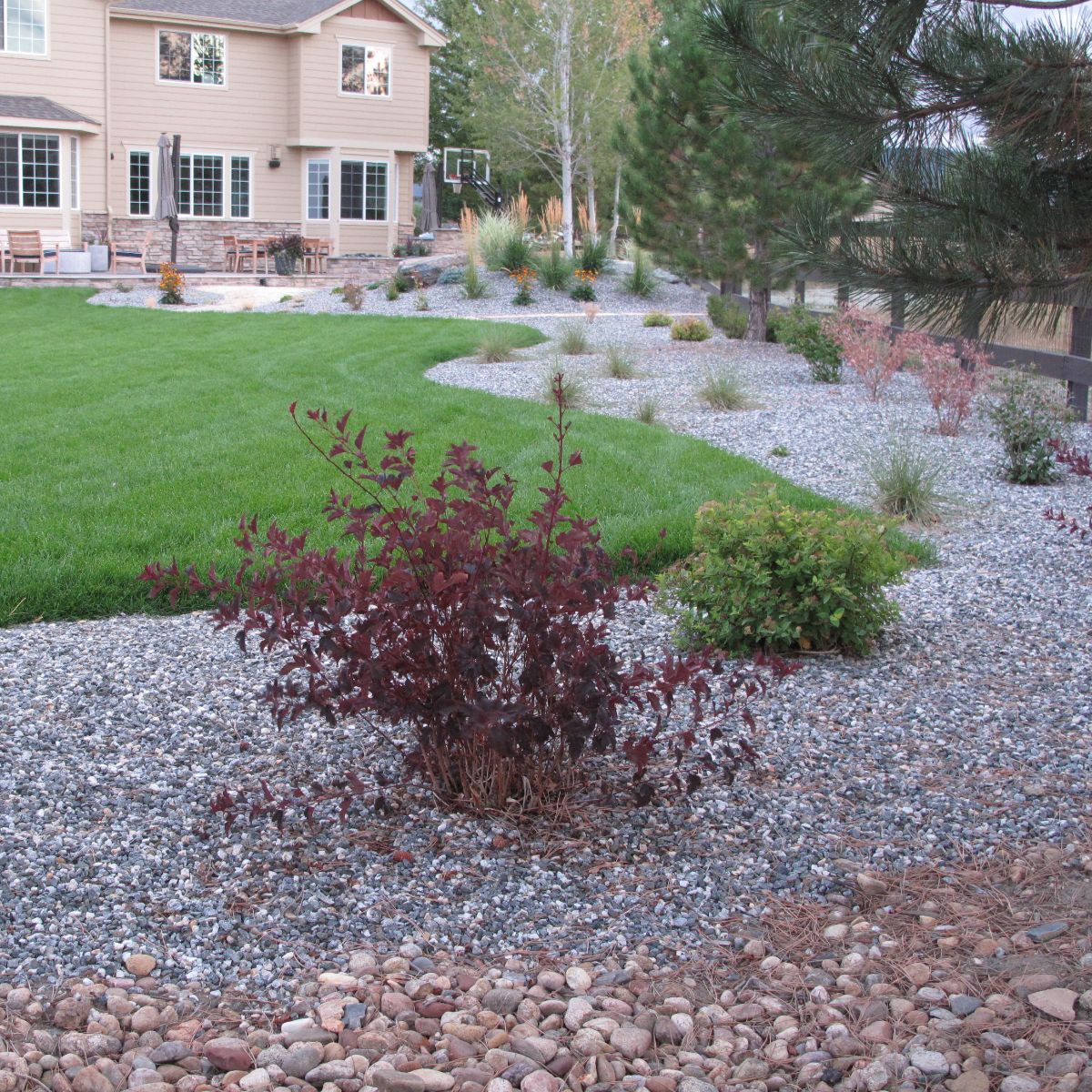 Xeriscape and sod — Arvada