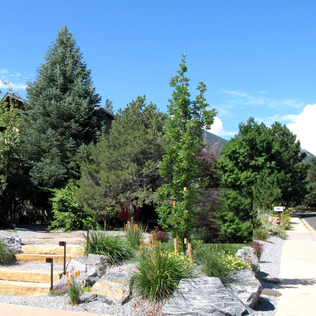 Buff natural stone steps landscape project in Boulder, CO