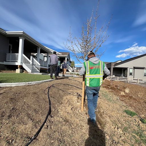 Finished turf, pavers and curbing — Littleton, Colorado