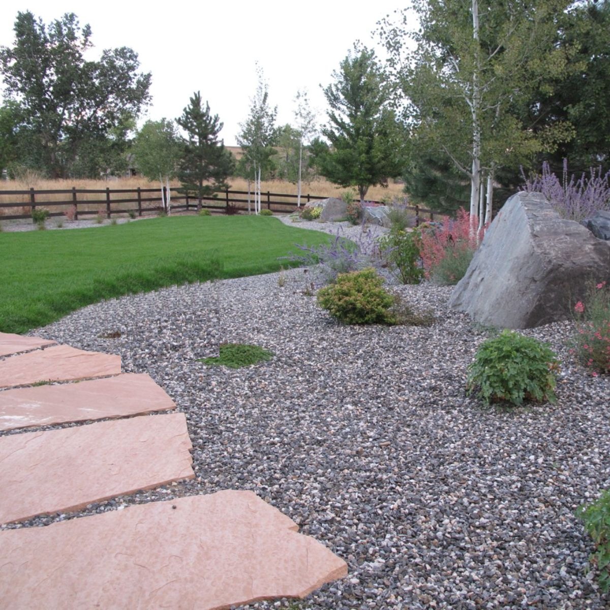 Drought-tolerant plantings and boulders in Arvada